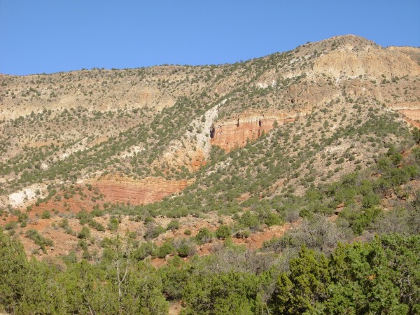 Fault in Permian beds buried under Bandelier Tuff