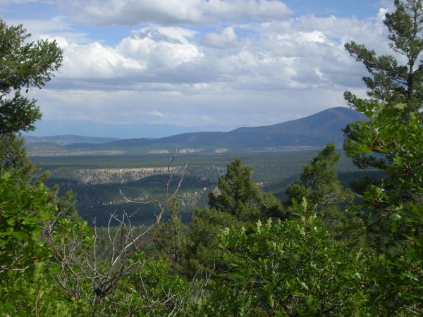 Bandelier
          Tuff below Polvadera Peak