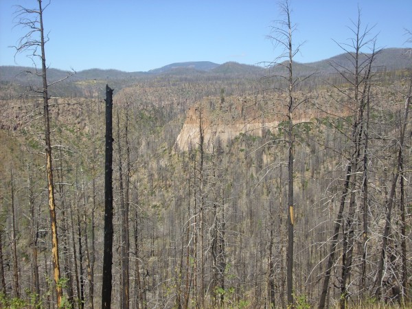 Bandelier
          Tuff in upper Cochiti canyon