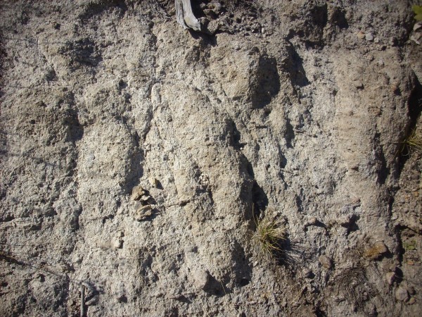 Cerro Balitas Bearhead Rhyolite