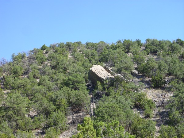 Large
          landslide block