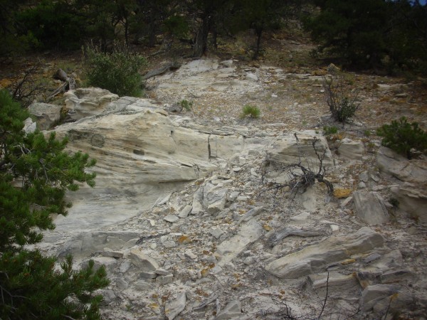 Burro Canyon Formation