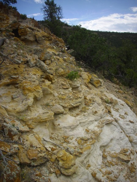 Burro Canyon
          Formation