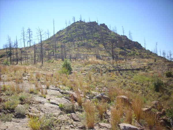 Cerro Balitas