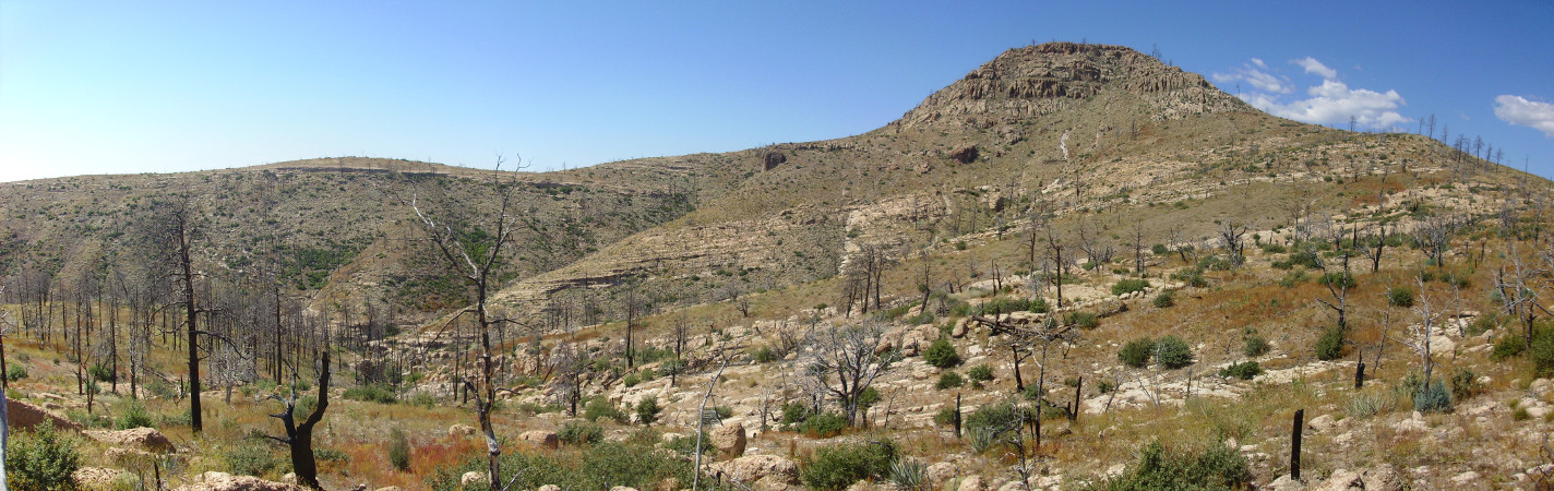 Southeast flank of Cerro Balitas