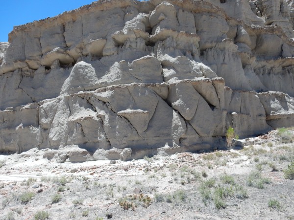 Conjugate
          jointing in Abiquiu Formation