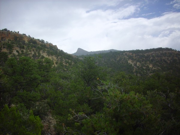 Cretaceous beds in Rio Encino Canyon