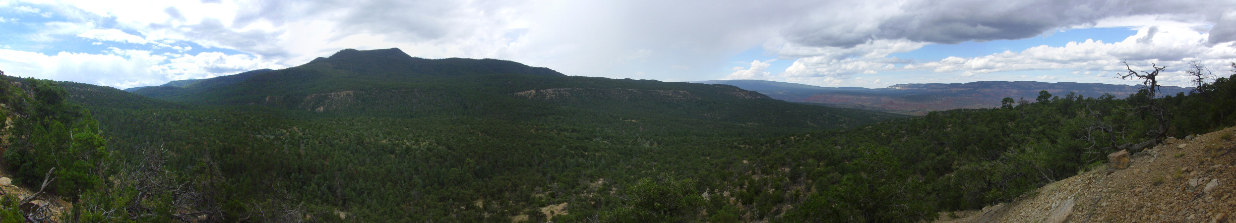 Cretaceous panorama