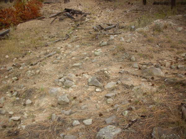 Debris
          flow