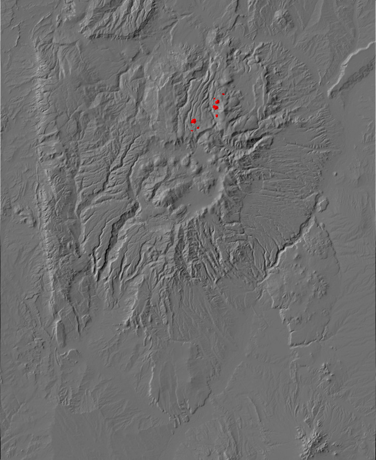 Digital relief map of El Rechuelos Rhyolite exposures
        in the Jemez Mountains