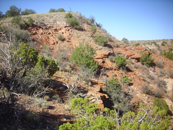El
          Rito Formation on south rim of Arroyo del Cobre