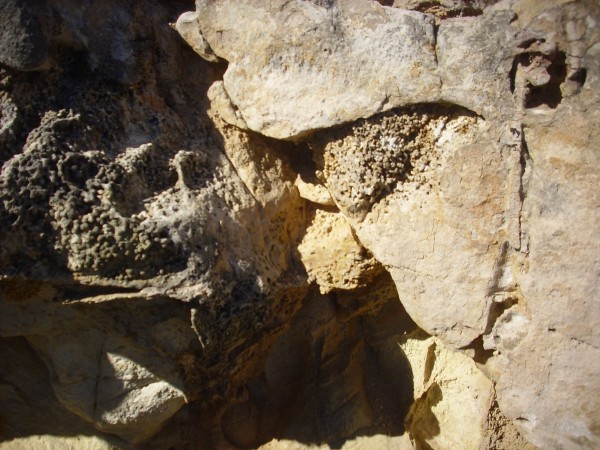 Possible
          rhizolith in Entrada Formation