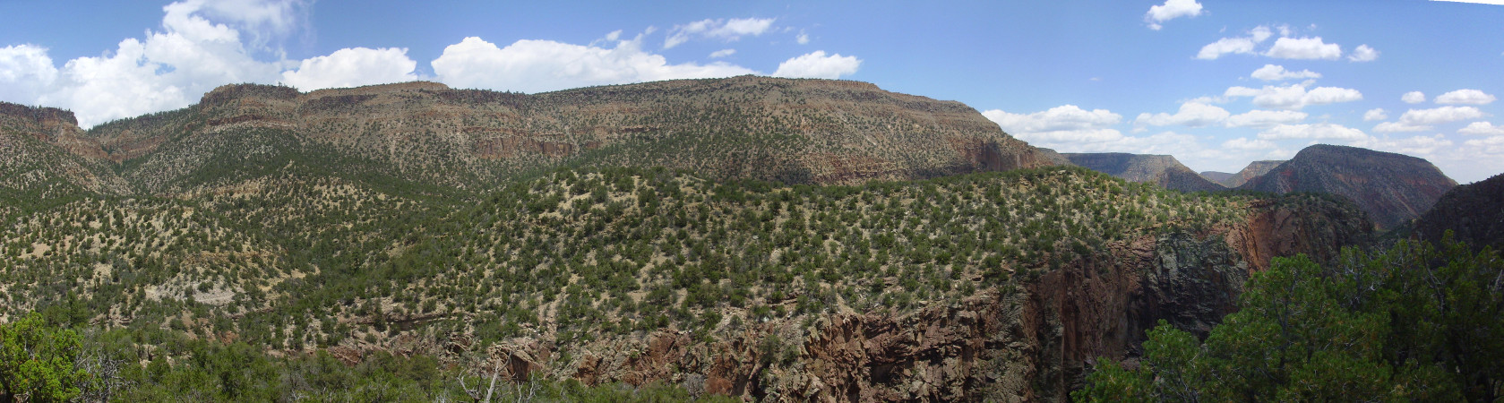 Carboniferous at Guadalupe Box