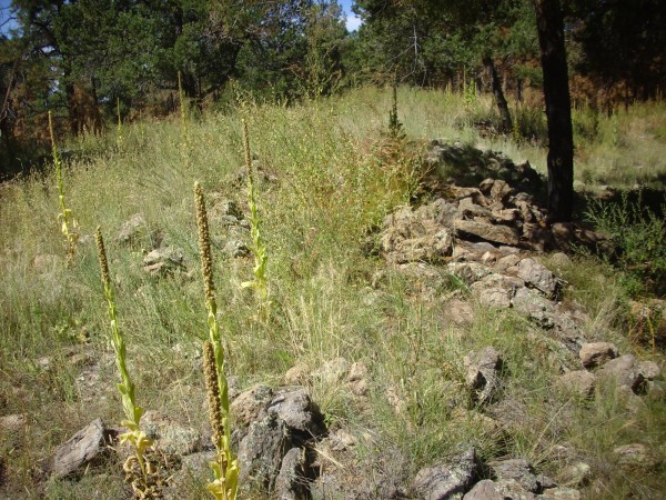 Kiatsukwa ruins