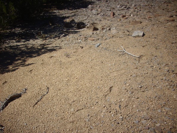 El Cajete Pumice on top of landslide