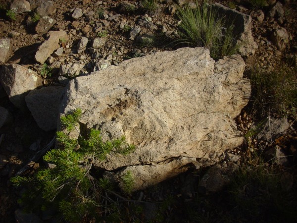 Lobato Mesa olivine basalt