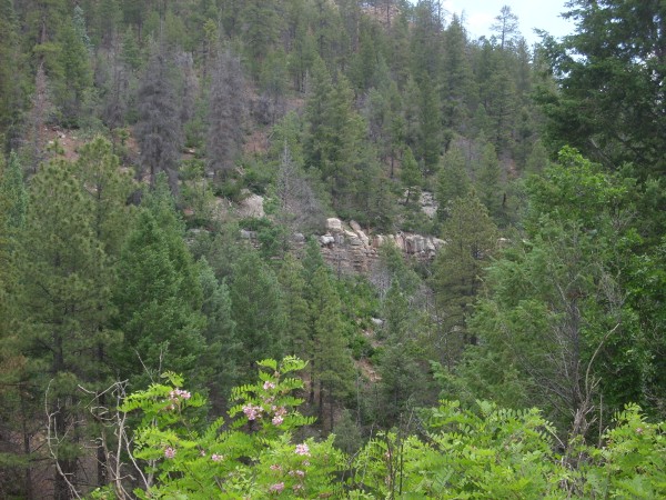 Madera Group in Bale Canyon