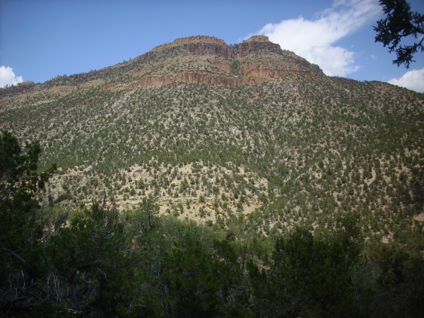 Madera Group
          slopes in Guadelupe Canyon