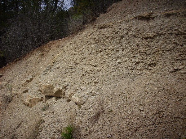 Madera limestone
        and limy shale near Hummingbird Music Camp