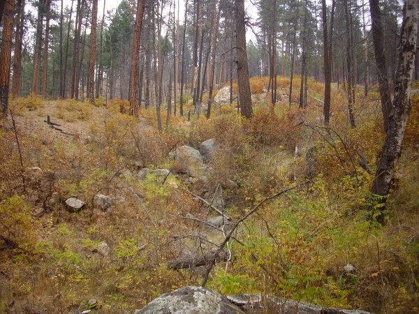 Debris
          flow