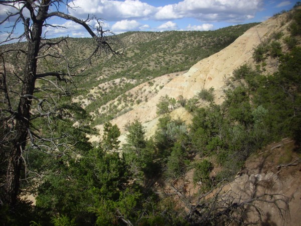 Morrison Formation in upper Mushroom Canyon