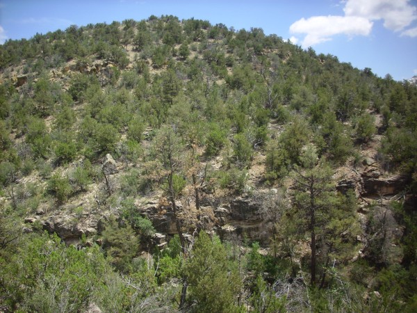 Osha Canyon Formation