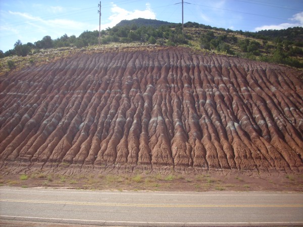 Painted
          Desert Member in road cut