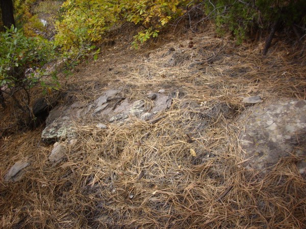 Paliza Canyon formation in west wall of San Juan Canyon