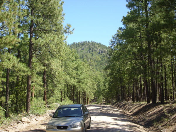 Cerro del Pino