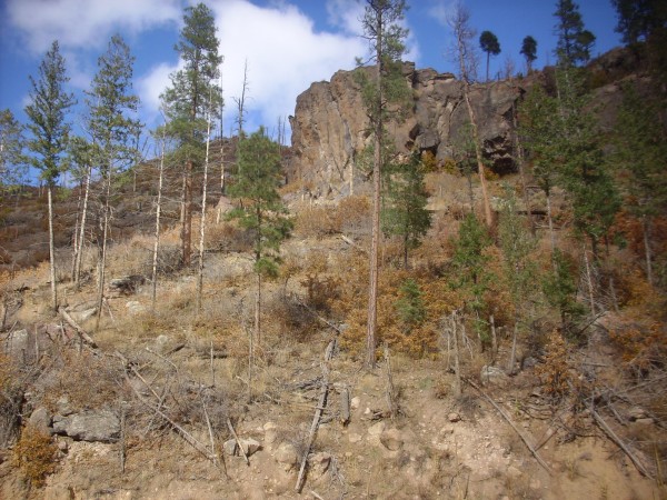 Paliza
          Canyon andesite at Los Alamos Reservoir