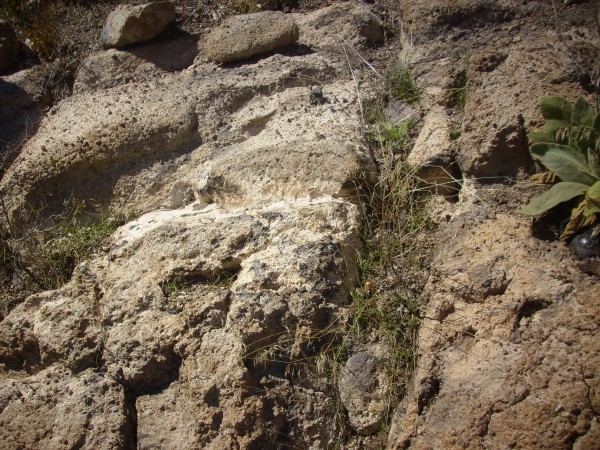 Peralta Tuff with lithic content