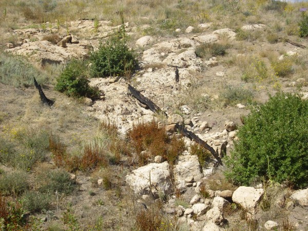 Peralta Tuff with lithic content