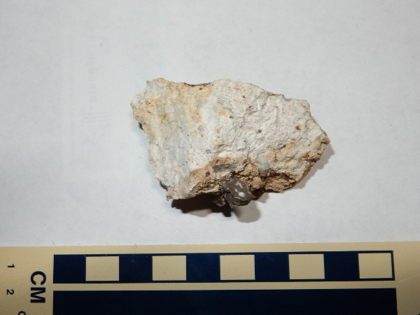 Peralta Tuff with lithic content