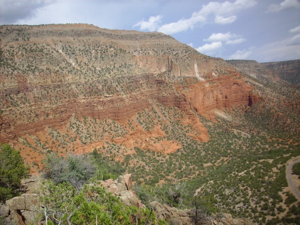 Permian
          beds in Guadelupita Mesa