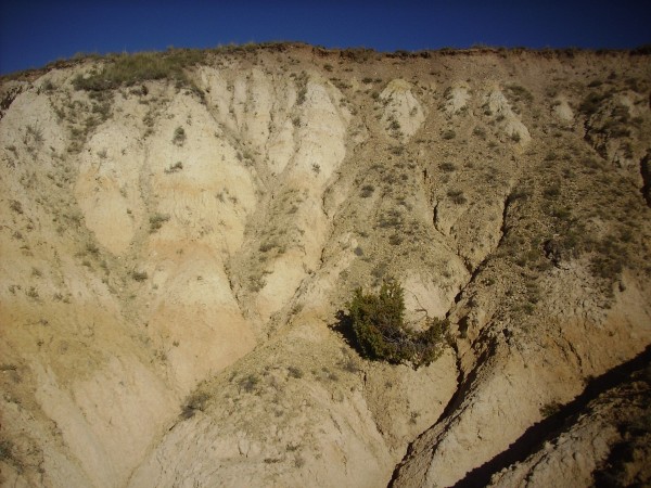 San
          Antonio lake deposits