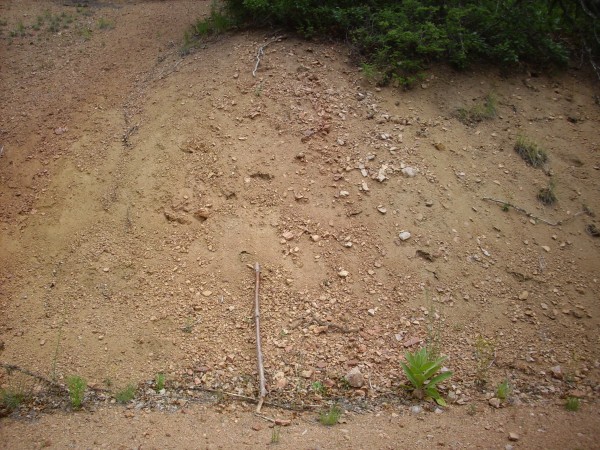 Poorly
          exposed pegmatite in San Miguel Gneiss