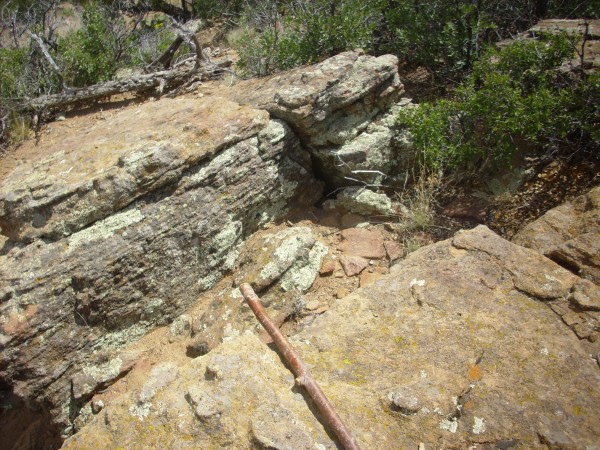 Sandia
          Formation