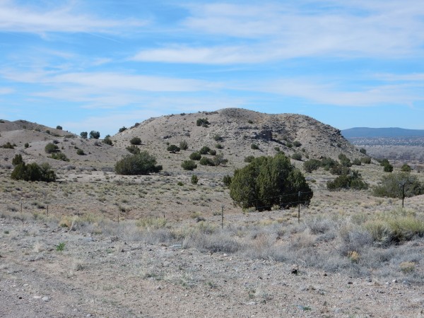Gravel facies of Sierra Ladrones Formation