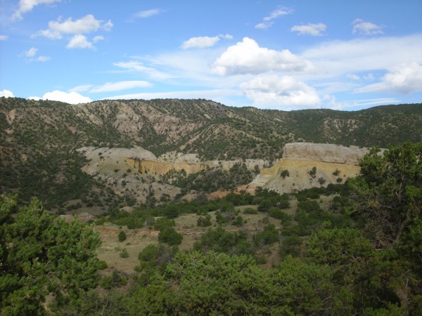 Summerville Formation