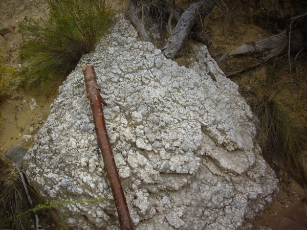 Gympsum lense weathered from Todilto Formation