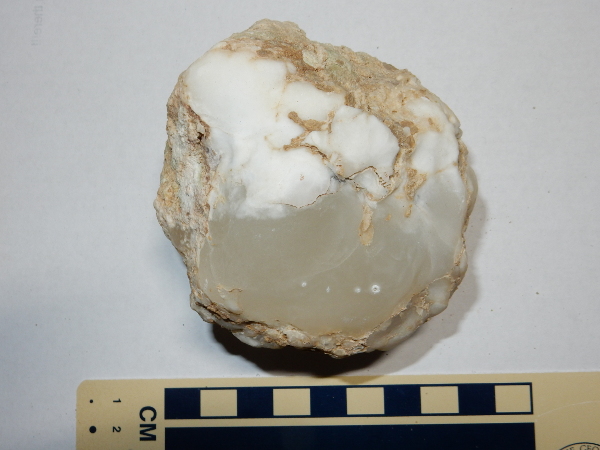 Gypsum nodule from Todilto Formation